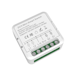 2 Gang Wifi Smart Switch Module (16A)